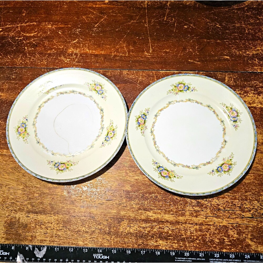 2 Nippon Floral Porcelain Dinner Plates 10" White Multicolor Blue Rim Printed